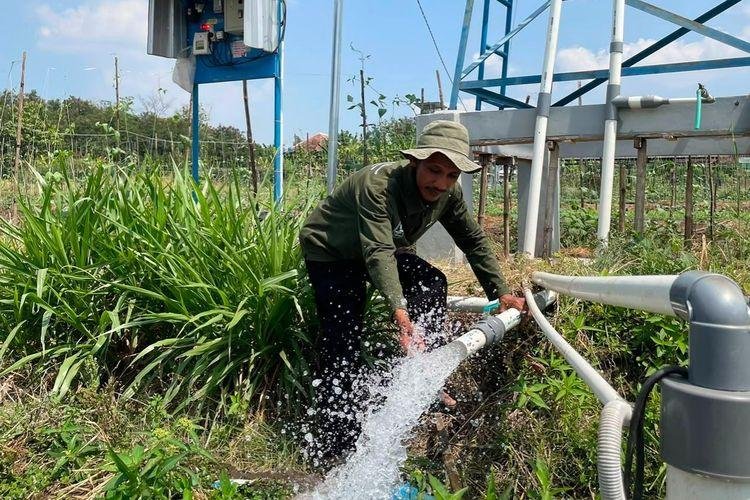 Pertamina Bangun Pompa Tenaga Surya Atasi Kemarau, Petani Boyolali Panen Sepanjang Tahun